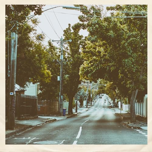 Street lined with trees and power lines, album cover for Stan Forebee.
