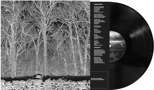 Vinyl record with black background and grayscale forest album art.