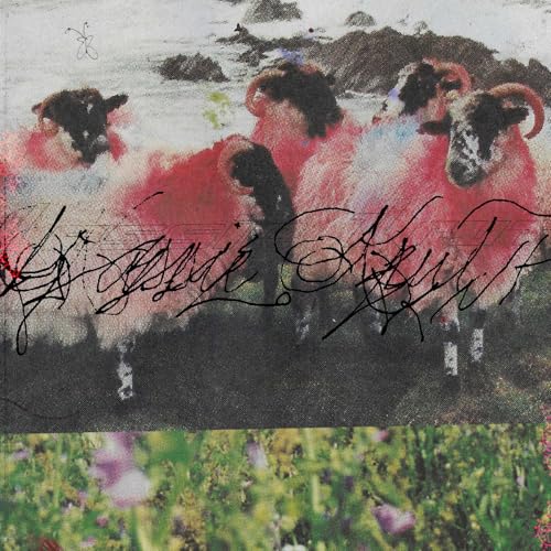 Album cover featuring red sheep with black faces and floral foreground.