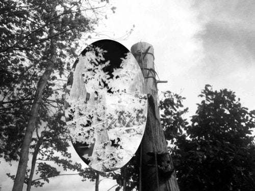 Brisees : Helen Sear