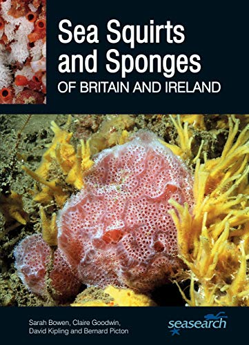 Sea Squirts and Sponges of Britain and Ireland (Wild Nature Press)