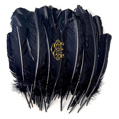 Black feathers with a gold floral-style emblem, isolated on white.
