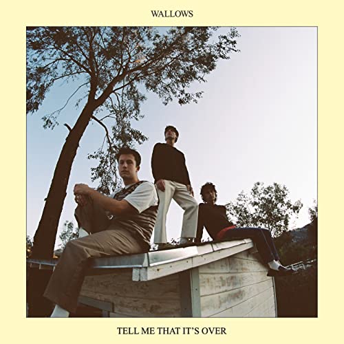 Wallows band members seated on a rooftop under a tree.