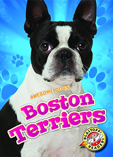 Boston Terriers (Awesome Dogs)