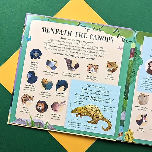 Look & Find : Mammals