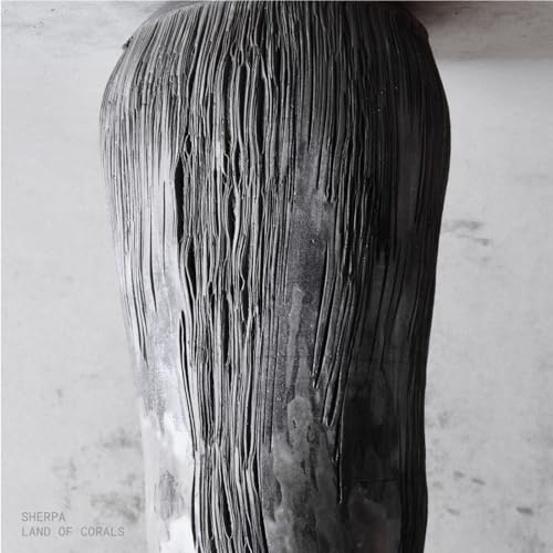Black and white album cover with textured, vertical lines.