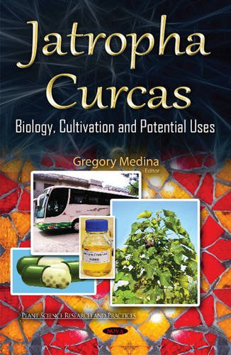 Jatropha Curcas