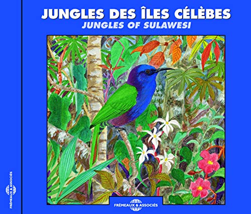 CD cover: brightly colored painting of a bird in a jungle.