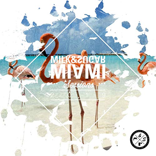 CD cover with flamingos, beach, and white geometric shapes.