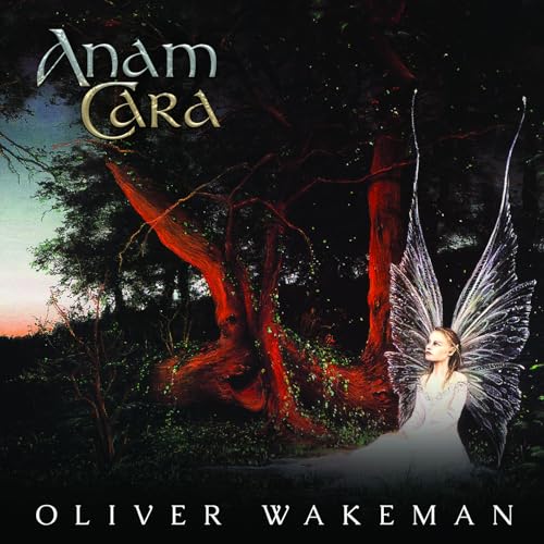 CD cover: fairy with wings in a forest, title "Anam Cara".