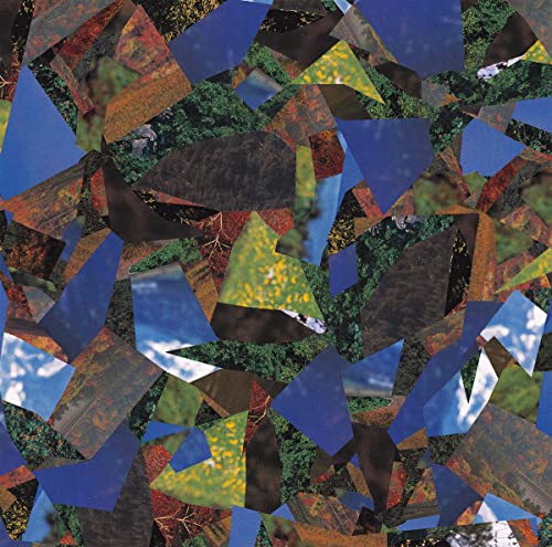 Abstract collage of fragmented landscapes with blue sky and foliage.