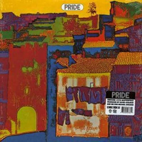 Colorful, abstract painting of buildings with laundry, album cover for "Pride".