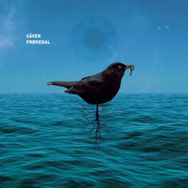 Blackbird standing on roots over water, album cover for Frøkedal/Sâver.