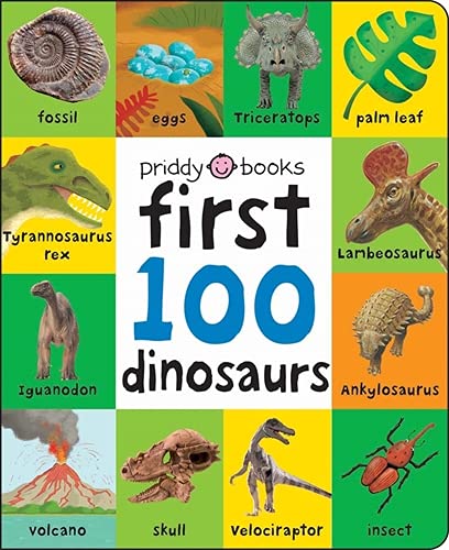 First 100 Dinosaurs (UK Edition) (First 100 Soft To Touch)