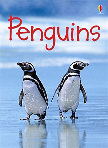 Penguins (Usborne Beginners) (Beginners Series)