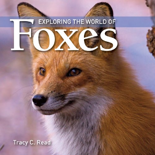 Exploring the World of Foxes (Exploring the World of (Paperback)(Firefly Books))