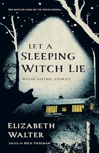 Let a Sleeping Witch Lie : Welsh Gothic Stories by Elizabeth Walter