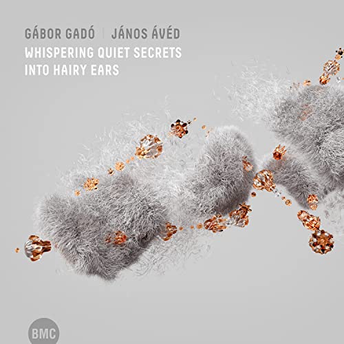 CD cover: gray, furry shapes with orange sparkles, text at top.