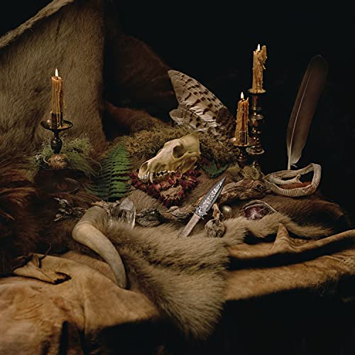 Skull, candles, feathers, and fur arranged in a dark, ritualistic still life.