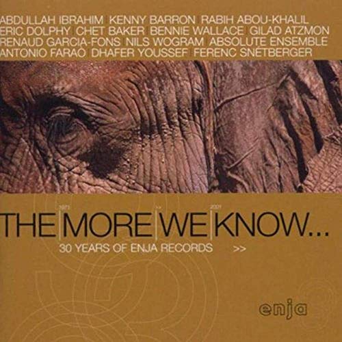 CD cover for “The More We Know,” featuring an elephant’s eye.