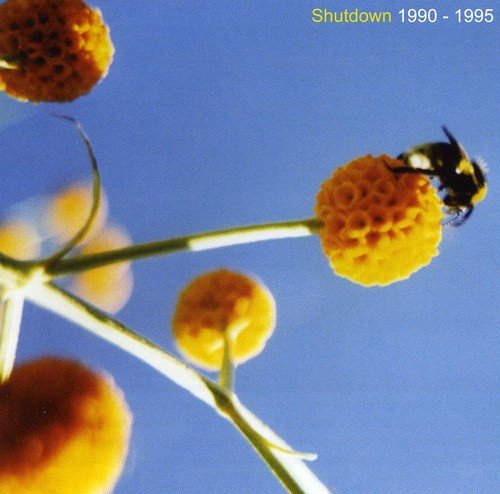 CD cover with yellow flowers and a bee against a blue sky.