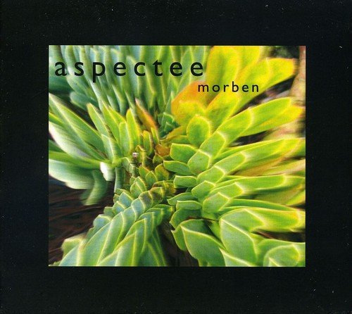 CD cover for Aspecteeās āMorbenā featuring a blurred, close-up succulent.