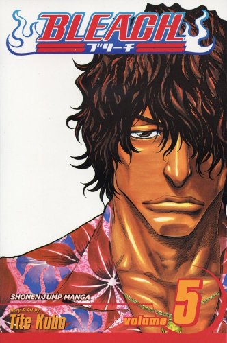 Bleach: v. 5: Right Arm of the Giant