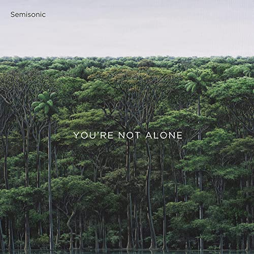 Semisonic album cover: dense forest with text "You're Not Alone".
