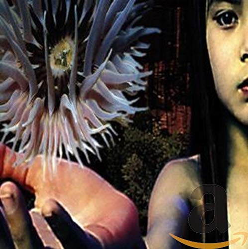 CD cover for Future Sound Of London’s “Lifeforms” featuring a flower and face.