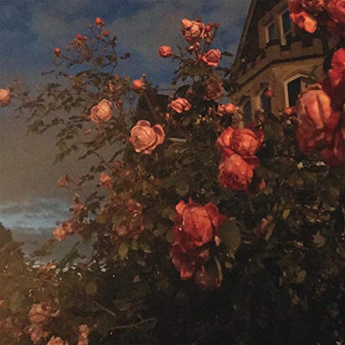 CD cover with a painting of red roses and a building.