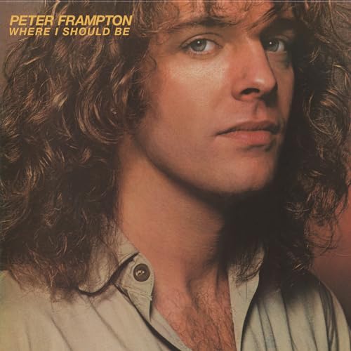 Close-up portrait of Peter Frampton with long wavy hair wearing a collared shirt.
