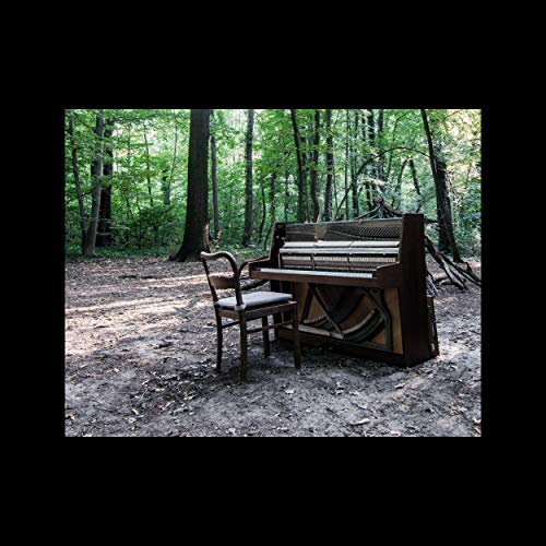 Old piano and chair sit in a sunlit forest clearing.