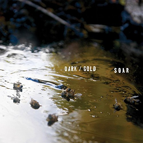 Album cover: dark, swirling water with insects and text "SOAR" and "DARK/GOLD".