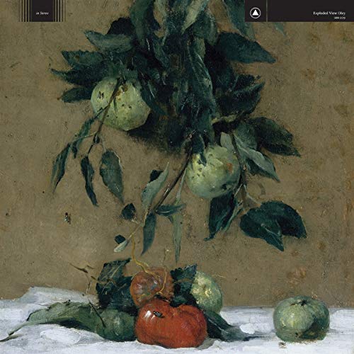 Painted still life of fruit with green leaves against a beige background.