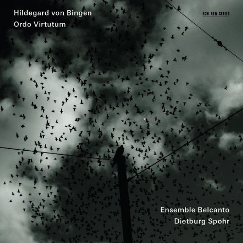 CD cover featuring a large flock of birds against a cloudy, dark sky.