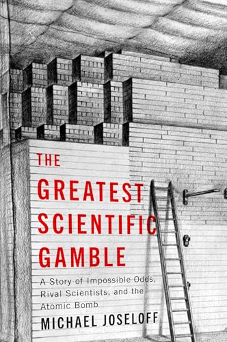 Book cover with brick wall illustration and red title text.