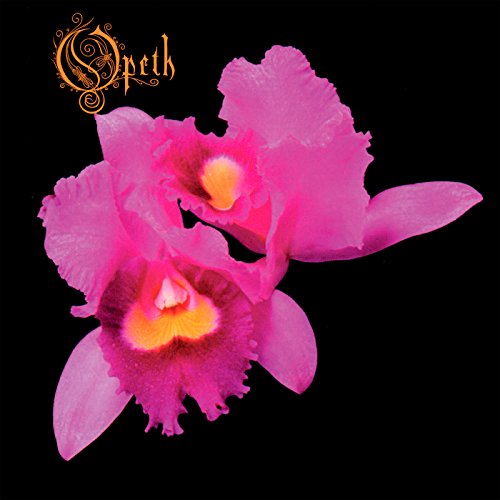 Pink orchid flowers against a black background with gold band logo.
