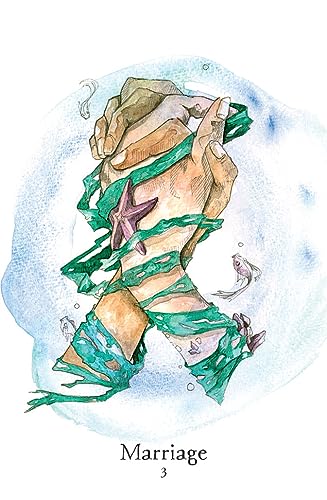 Seaborn Kipper : Divination Cards
