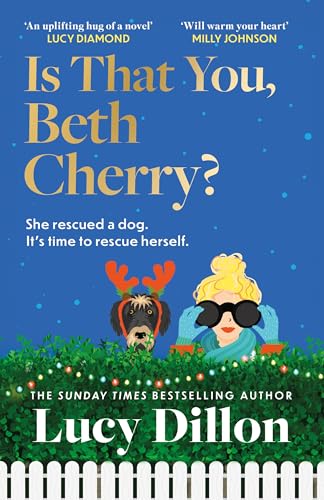 Is That You, Beth Cherry? : the warm and witty new novel from the author of Irresponsible Adult