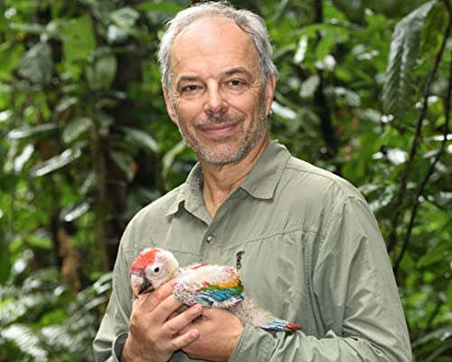 Becoming Wild : How Animals Learn to be Animals