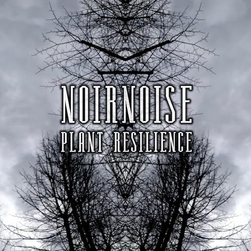 CD cover: mirrored, bare trees against a cloudy, grayscale sky.