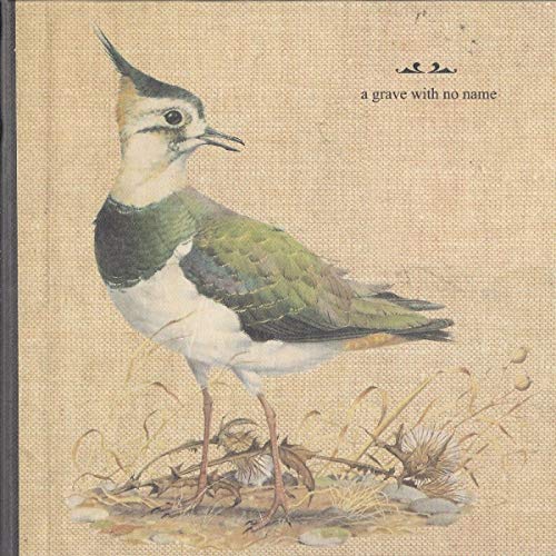 Vinyl album cover featuring a detailed illustration of a bird.