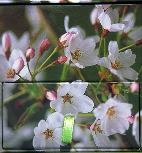 Memo Block Cherry Blossom