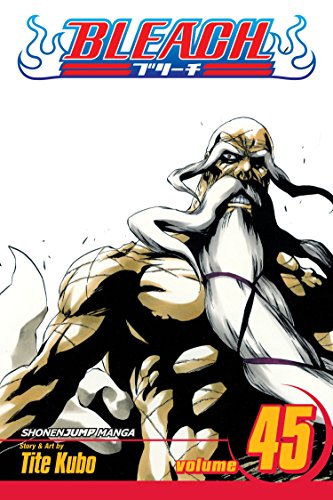 Bleach manga volume 45 cover featuring a white-bearded character portrait.