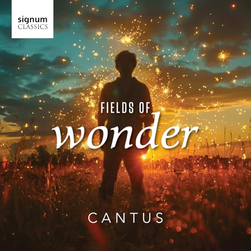 CD cover: Silhouette in a golden field under a starry sky.
