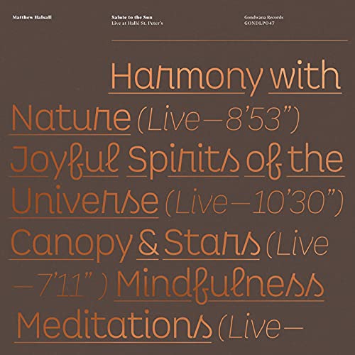 Vinyl LP cover for Matthew Halsall’s “Salute to the Sun” with orange text.