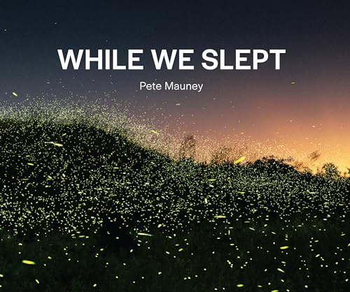 While We Slept