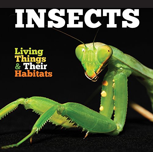 Insects (Living Things and Their Habitats)