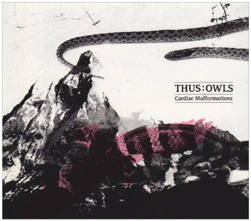 CD cover with black and white landscape, a snake, and pink crystals.