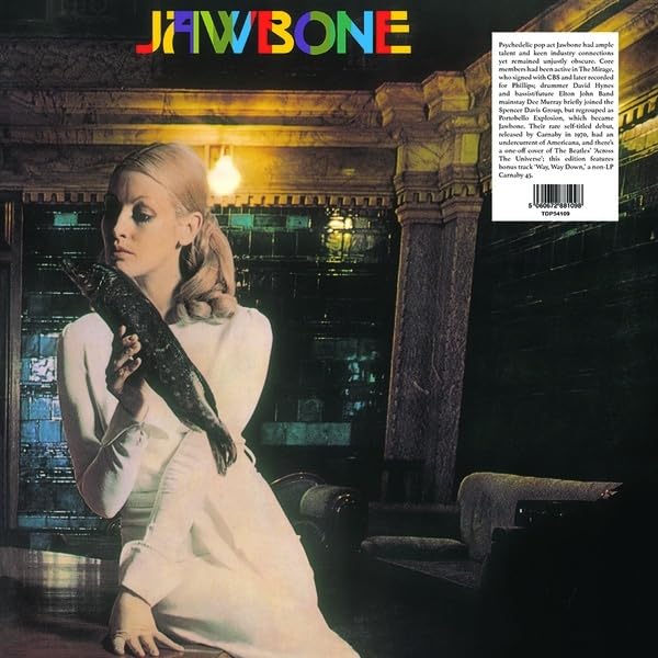 Vinyl record cover featuring a woman in a hallway with a snake.